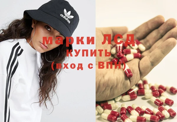 спиды Алзамай