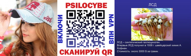 как найти закладки  Краснозаводск  Псилоцибиновые грибы прущие грибы 